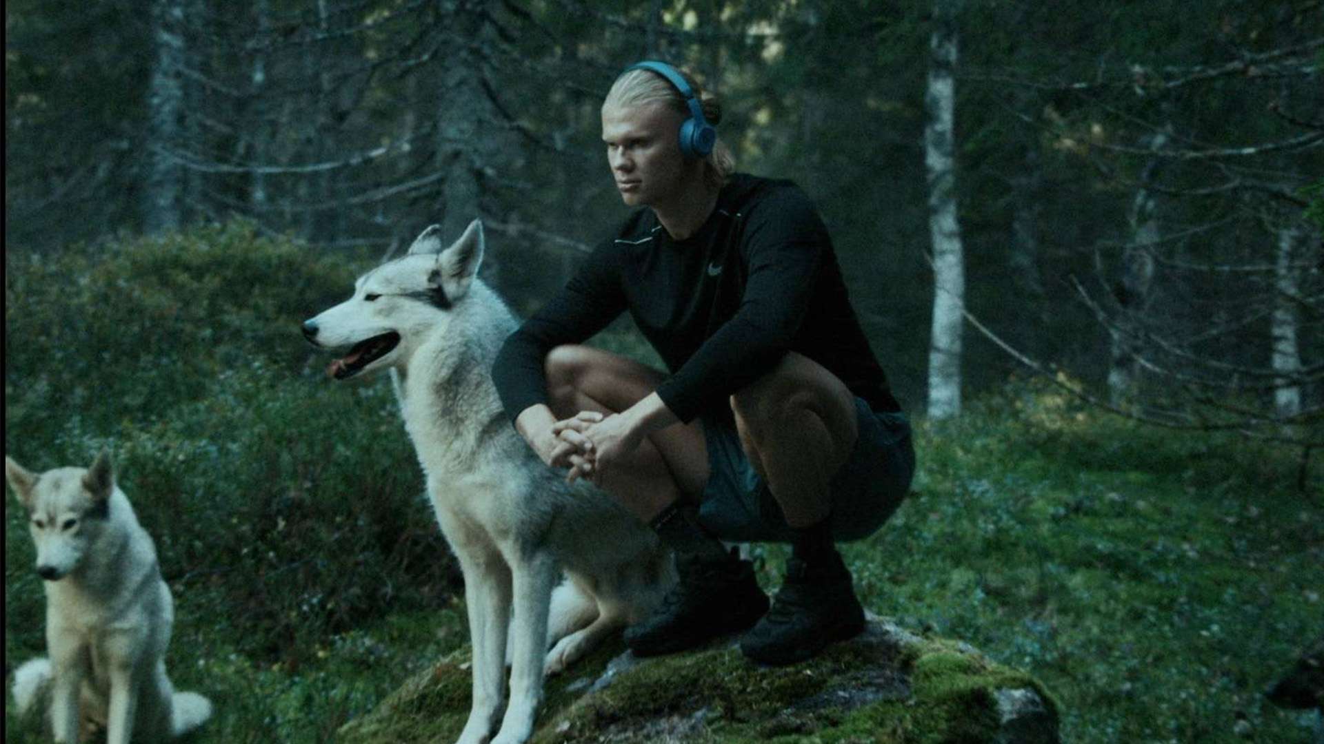 怠都可能导 怠都可能导