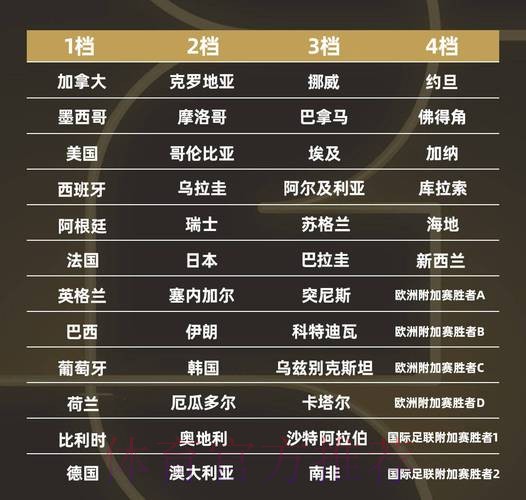 世界杯排名更新